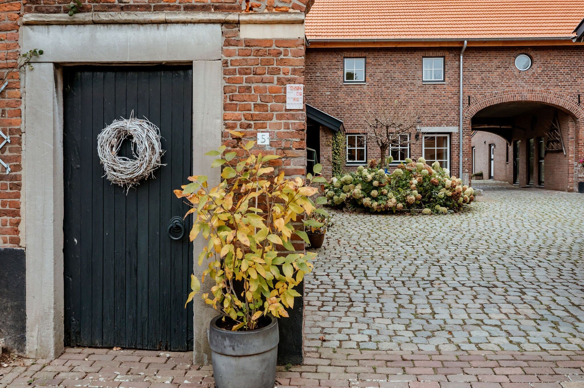 image right col image right col